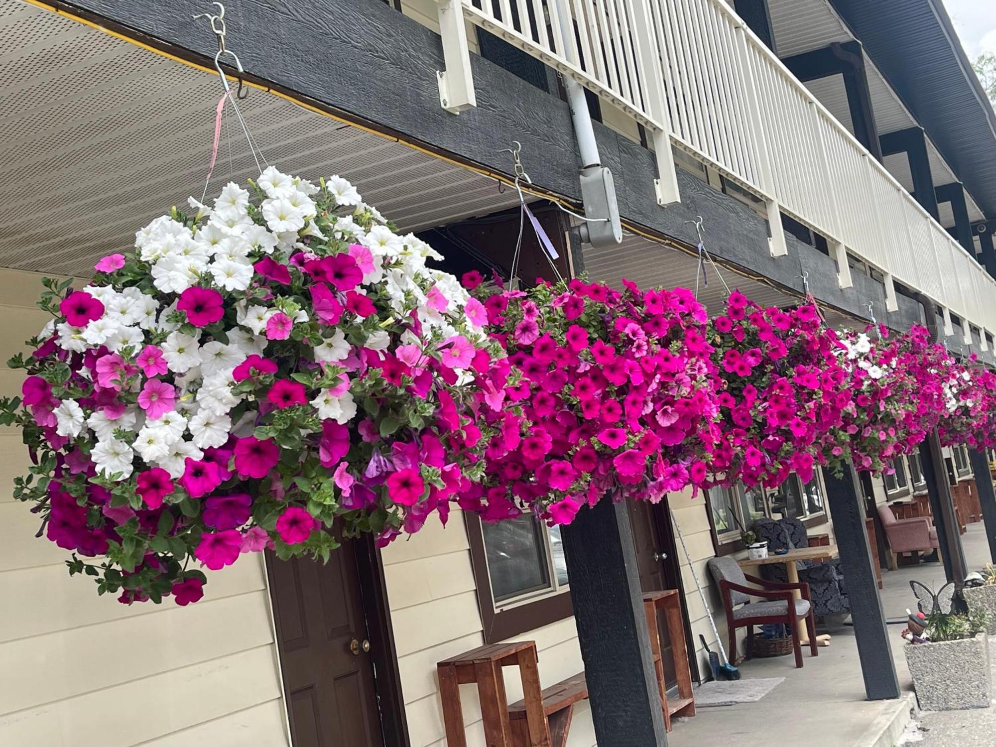 Lumby Twin Creeks Motel المظهر الخارجي الصورة